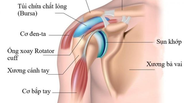 Đặt túi ngực phù hợp với thể trạng cơ thể và chăm sóc xương khớp thế nào tránh thoái hoá đốt sống?